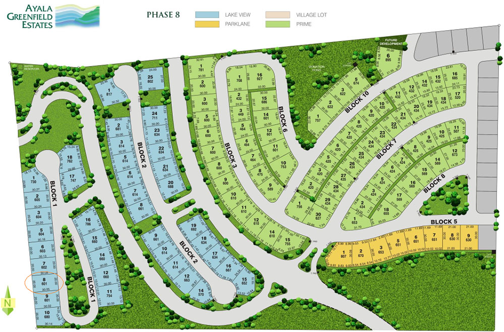 Ayala Land Properties | Blue Dimalanta